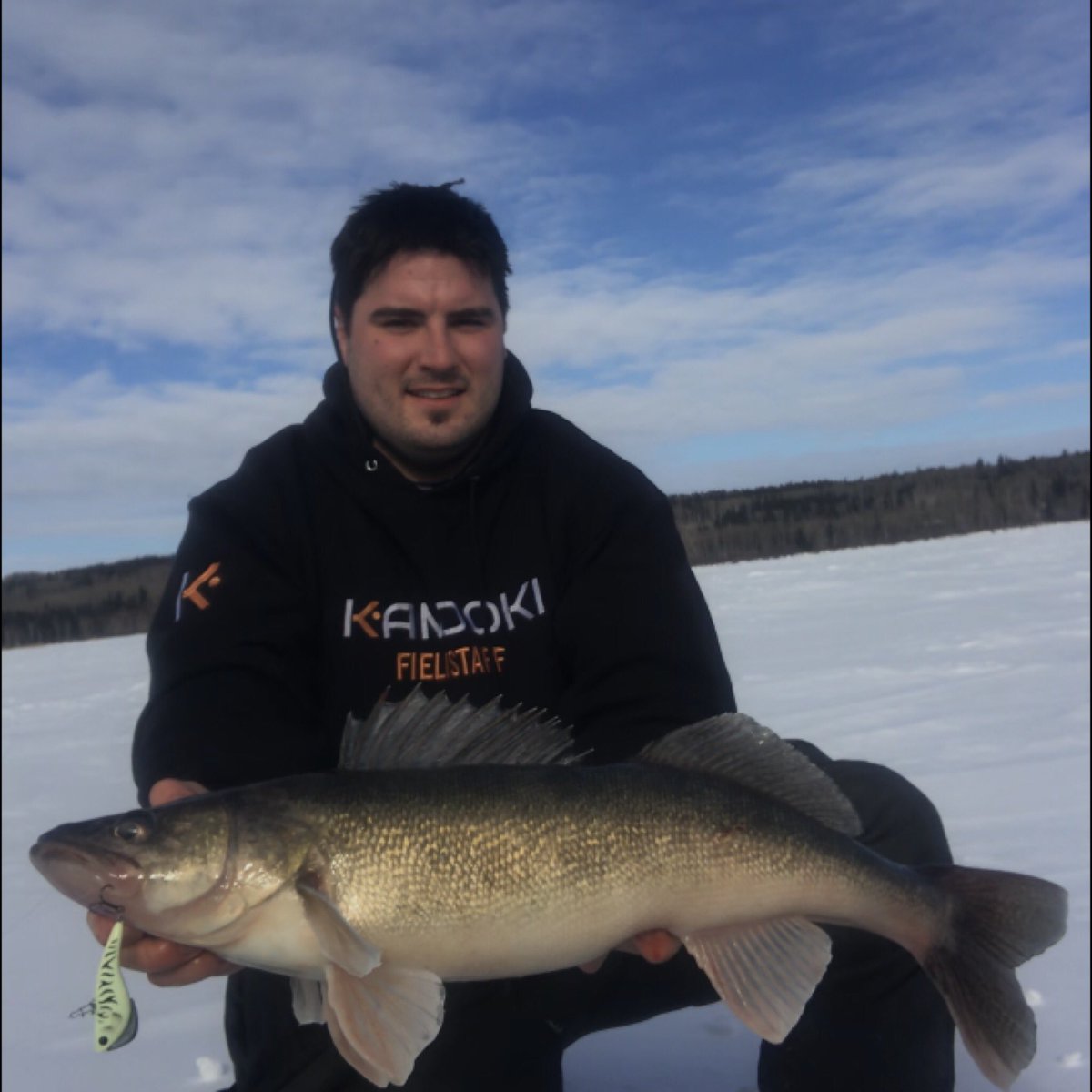 Another victim to the <a href="/KamookiLures/">Kamooki Lures</a> Smartfish! Marked a pile of nice walleye on my <a href="/HumminbirdFish/">HumminbirdFish</a> Helix 7, but most of the fish just weren’t feeding. This gal came in late morning and had her eyes on the prize though! #walleye #marchmadness #kamooki #glowtiger #icefishing