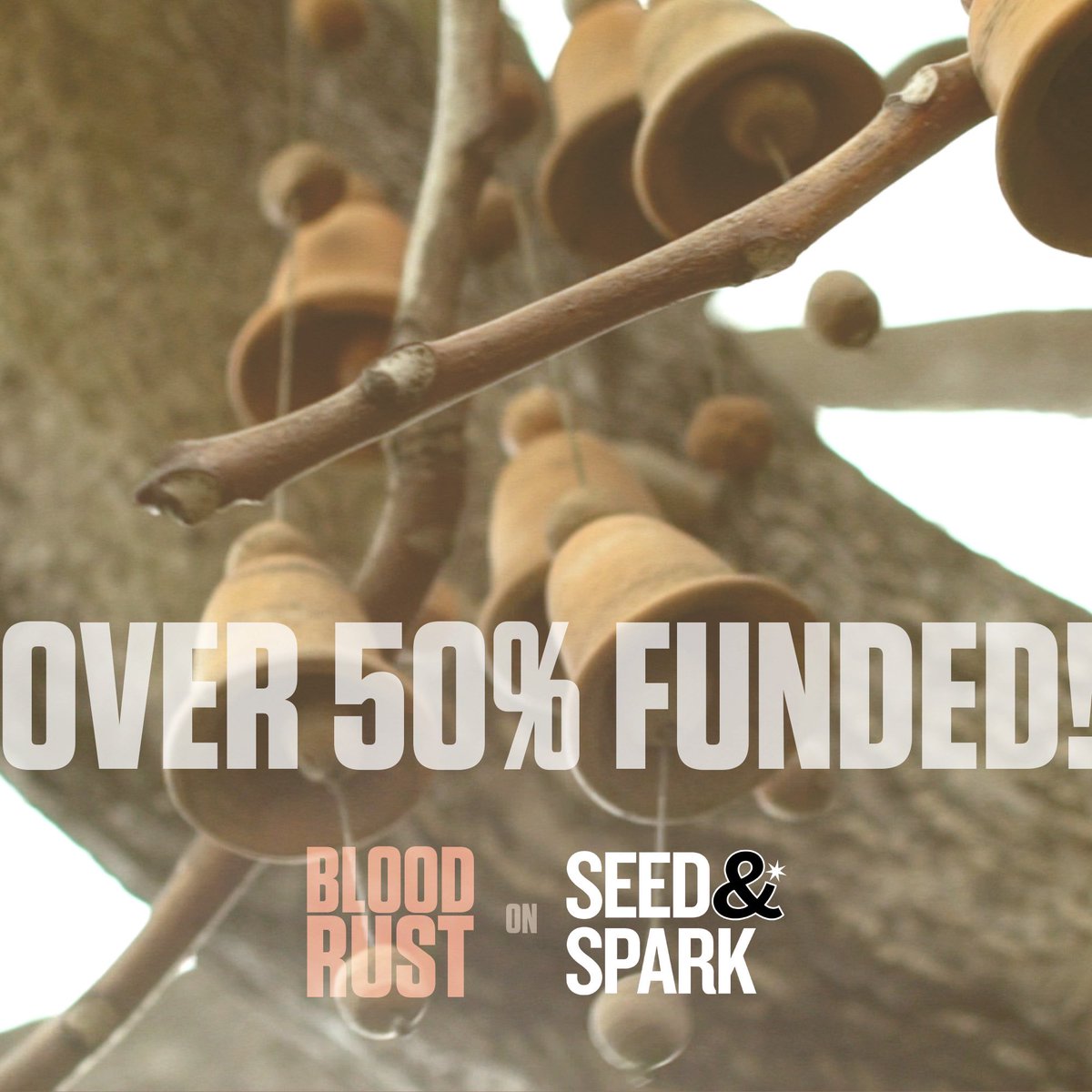 brackishfilms's tweet image. OVER 50% FUNDED! Ten days in and we’ve raised 53% of our total @seedandspark goal. The amount of support we’ve received has been phenomenal and we couldn’t be happier! What a #fridayfeeling - thanks y’all!

#bloodrustfilm #week2 #gafilm #femalefilmmakerfriday #supportindiefilm