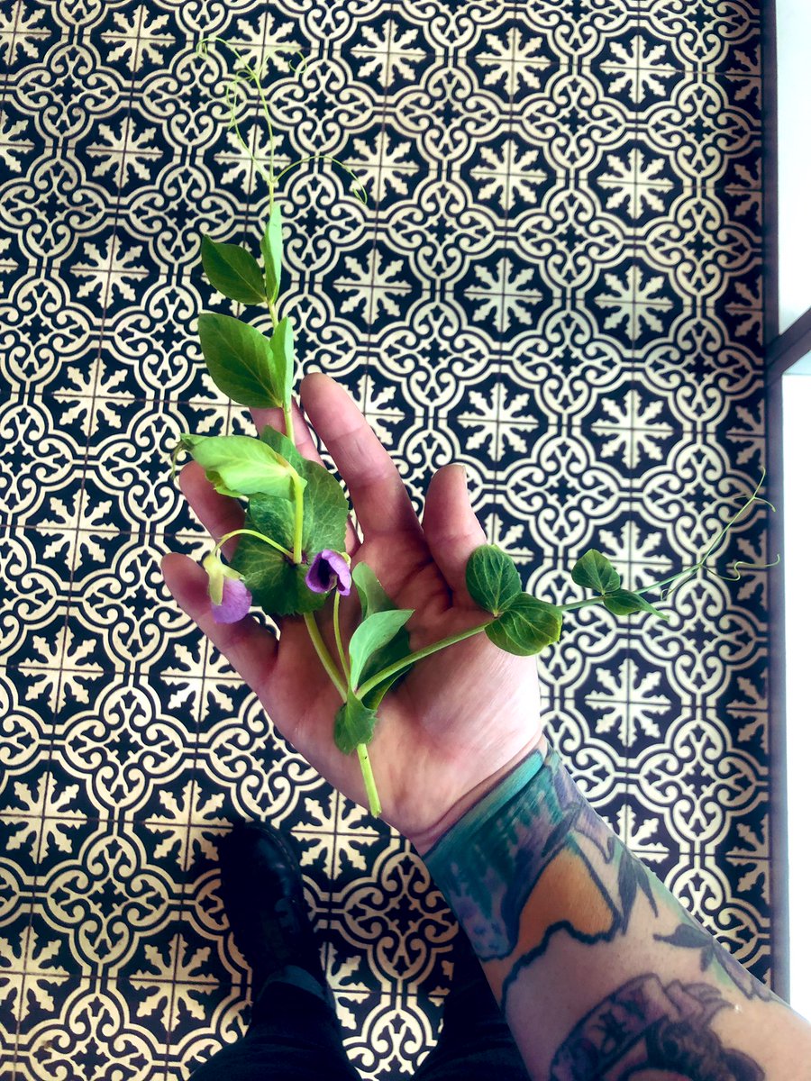 Spring in my hand!!!  #cheflife #farmtotable #spring #shef #loam #houstonfood #thedunlavy #chefsofthedunlavy