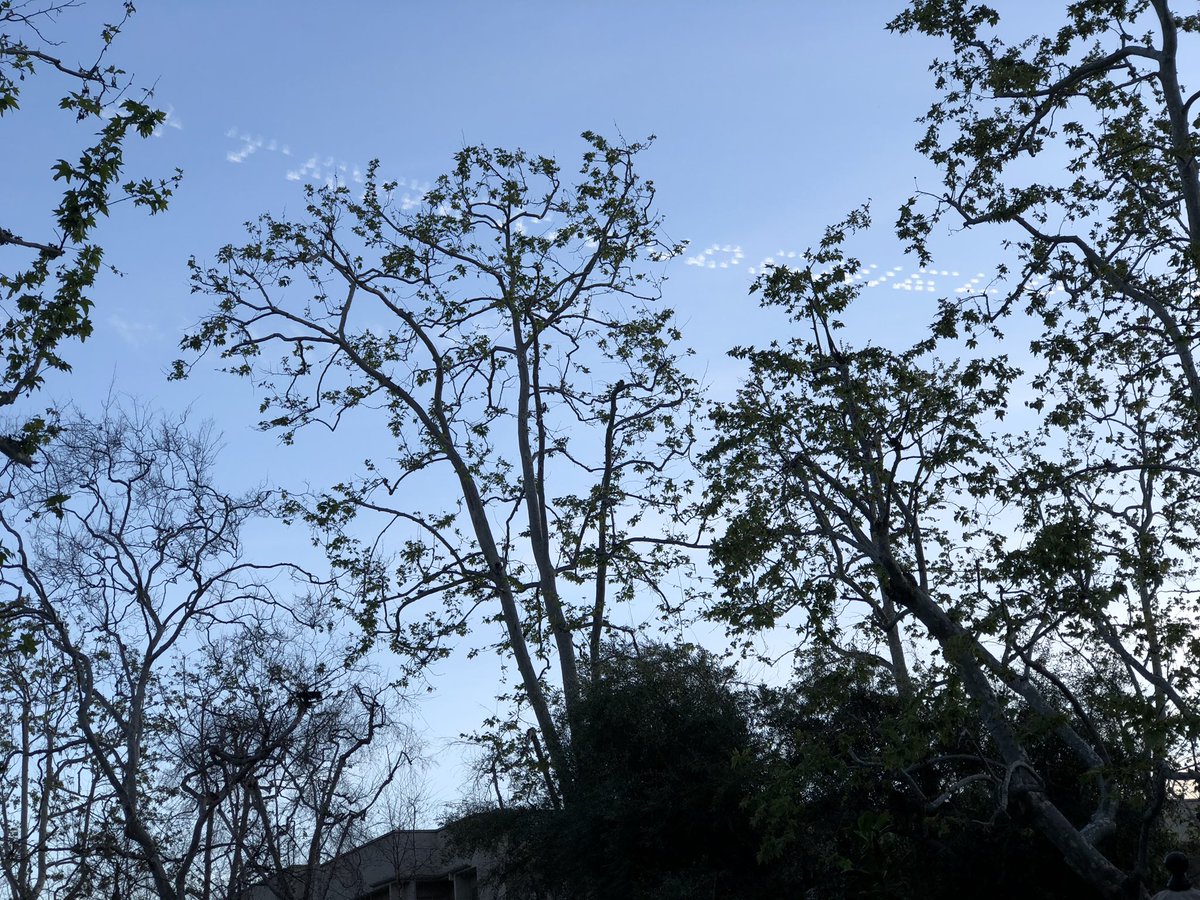 SJSamano's tweet photo. #TrackAndShield?
The hell is happening in L.A. skies this week? https://t.co/EBlxXbYVre