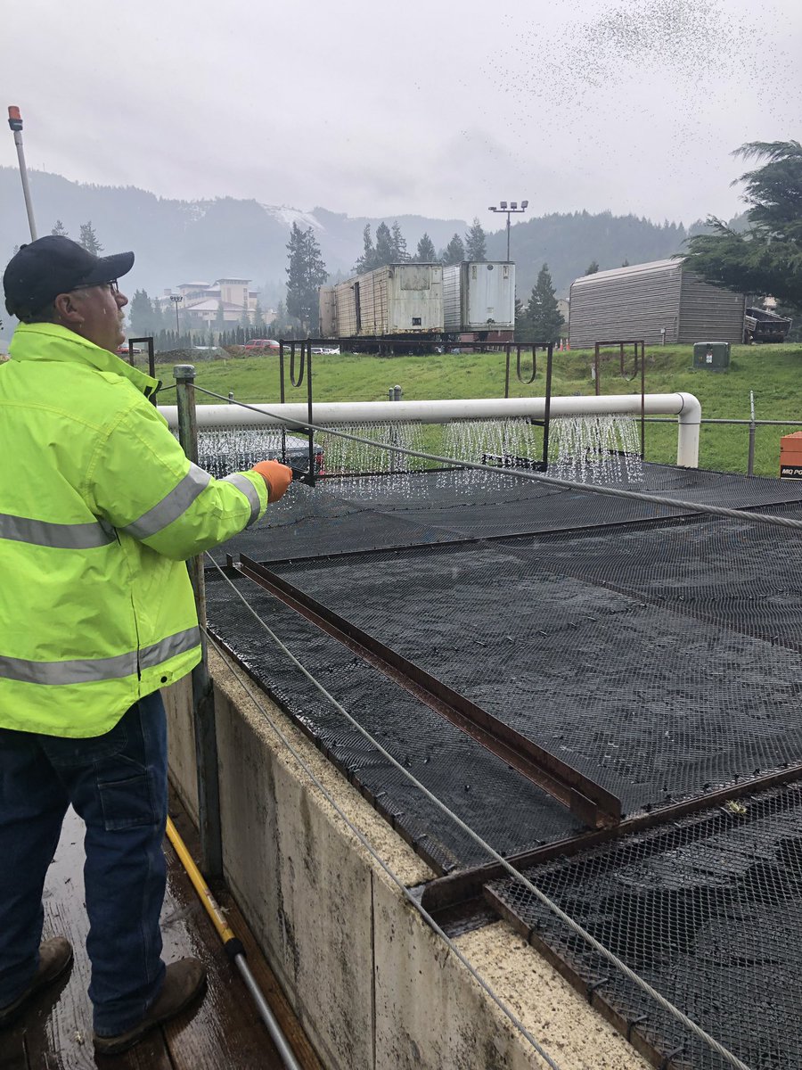 WarrenGawlik's tweet photo. Jim not only creates an incredible landscape @sevenfeatherscasino he also helps the ODFW keep the steelhead population healthy on the South Umpqua! #WEnutrition #beaverturf #conservation https://t.co/bhPeFge9ib