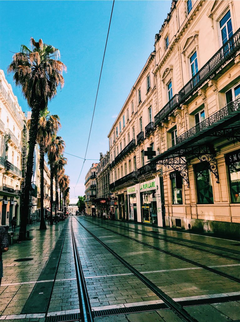 ThatGirlSydney's tweet photo. @_MorganYates Montpellier! I studied abroad there for three weeks and absolutely loved it! It has its own airport and train station as well!💛 https://t.co/DU0n1Fa2bA