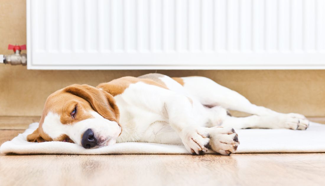 _SmartHeating's tweet image. Our simple service makes it easy to find, buy and install the best boiler for your property. Find out more about how Smart Heating works here: buff.ly/2HJsI5W #orderonline #efficiency