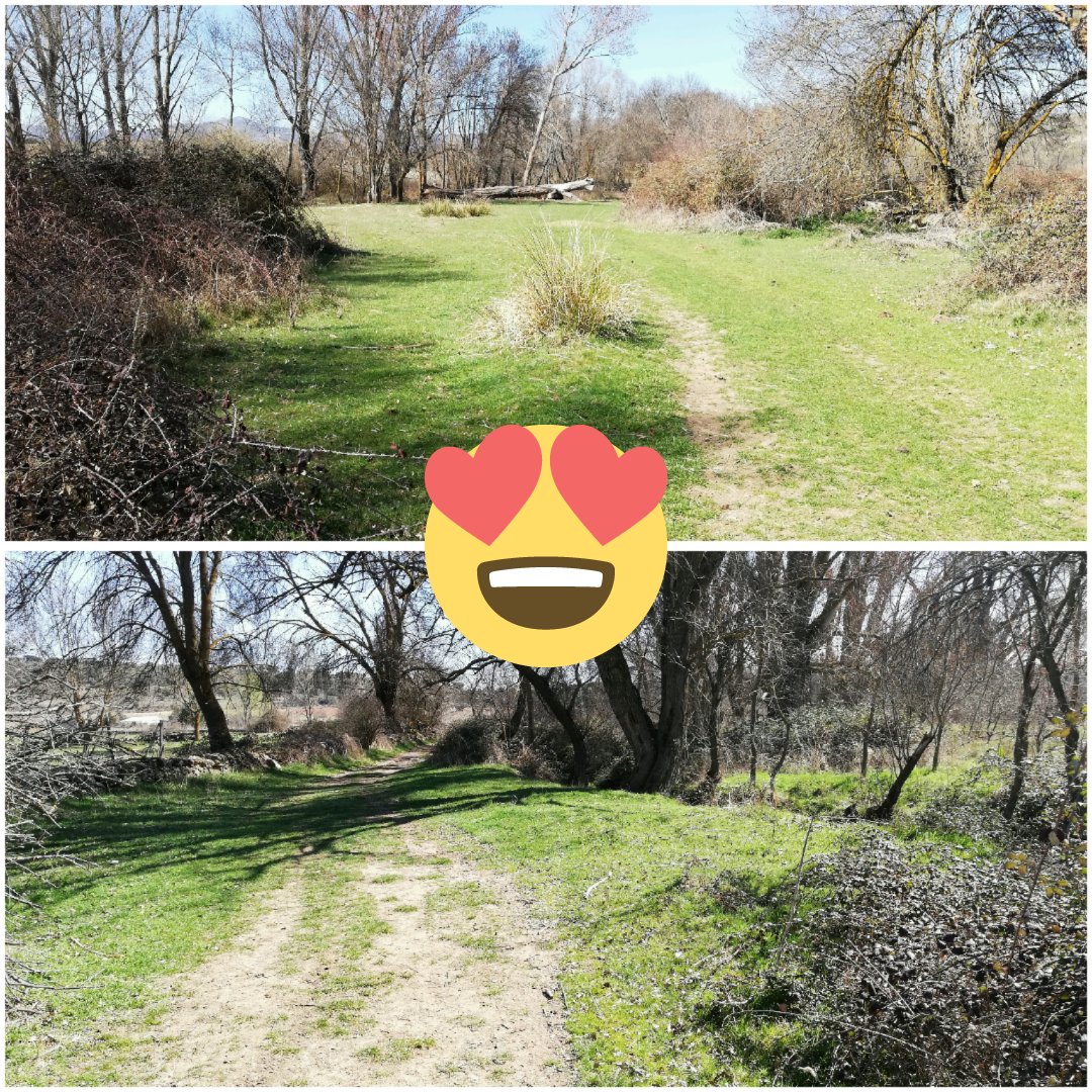 adoptaycorre's tweet photo. En la última revisión nuestro circuito luce así...
Y tú... ¿Te lo vas a perder?
Disfruta de un Trail de 20 km, un cross o Dogcross de 9 km o una marcha de 4,5 km... Con actividades para niños... 
Nos vemos en Venturada, el 31 de marzo.
Inscribete en https://t.co/uYqXXMn708 https://t.co/Fbmk2r8M6g