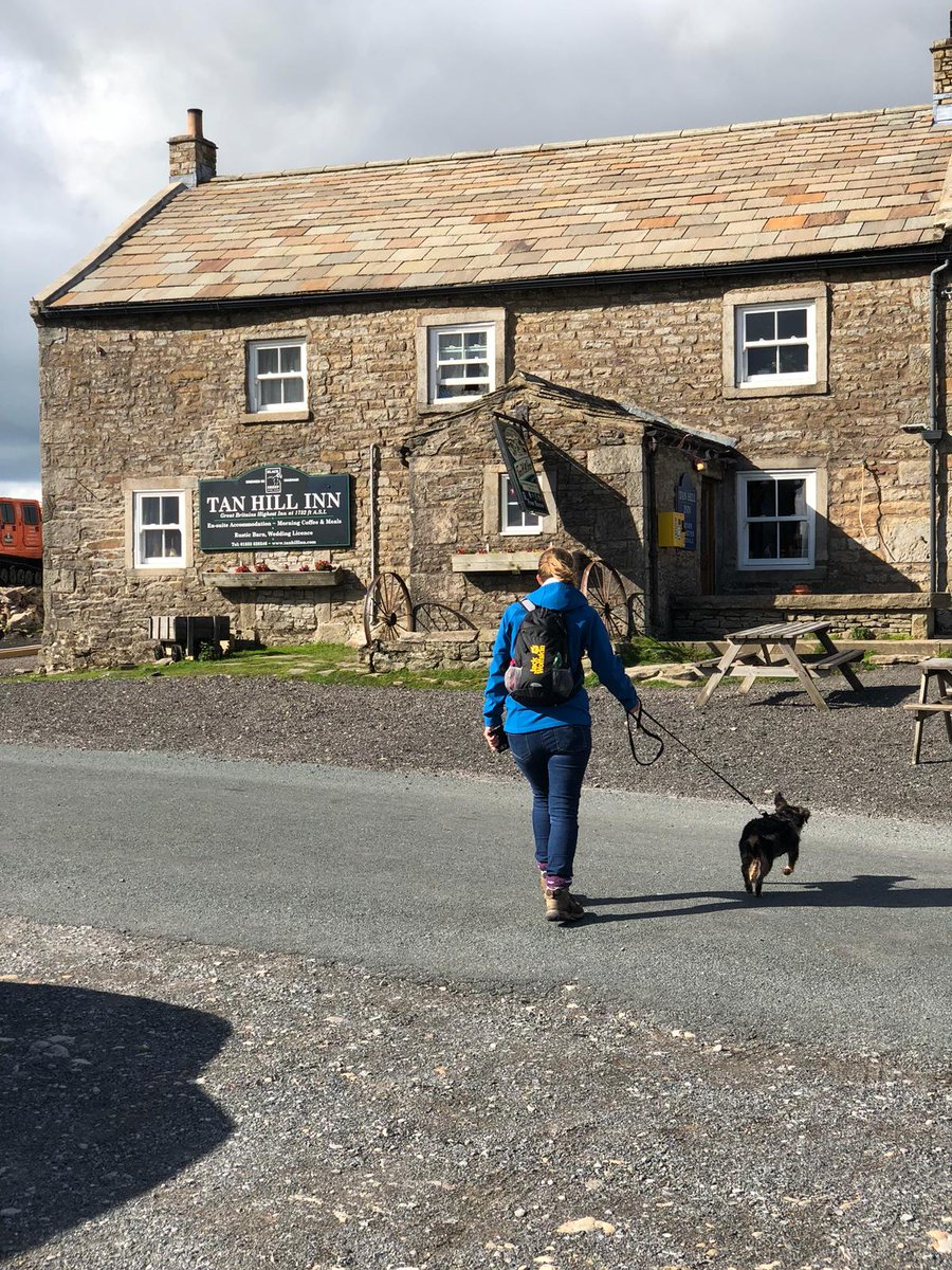 AAdoglady's tweet photo. Walking up the Pennine Way to Tan Hill Inn. Definitely worth the trip... just watch out for the sheep! Perfect place to relax before the walk back &amp; v #dogfriendly 🐕🐑 #Yorkshire #dogwalk #SpringIsHere #pubs #staycation @tanhillinn @WalksBritain @NationalTrails https://t.co/sS5QgUmp8u