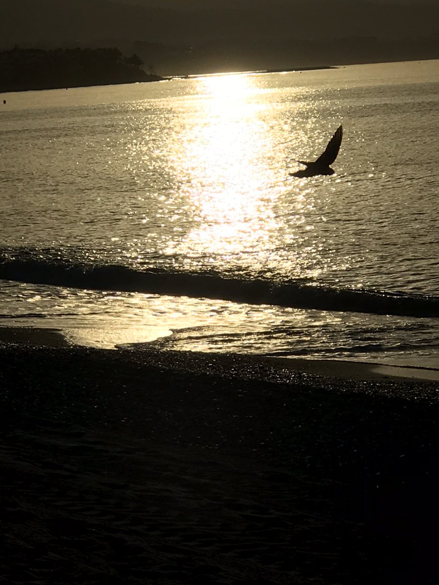MarbellaHols's tweet photo. #happysaturday dear #igfriends with a stunning #Marbella #sunrise 😎☀️
Make the most of this amazing day ahead ‼️
☀️😎🏖🌴🌅☀️😎🏖🌴🌅
#beach #beachlife #beachholiday #marbellaholidays #marbellalife #bookyourholiday #lifeisbetteratthebeach #inspiration #lifestyle #travel #tourism https://t.co/aX5nOWEW4l