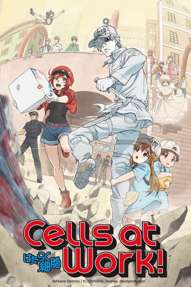 Cells at Work Season 2, Black Clover Updates and Tales of Smyphonia on  Crunchyroll?!