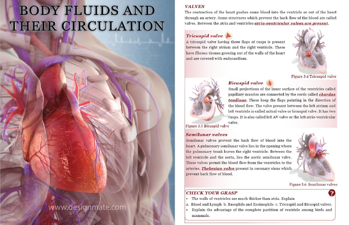 dm_eureka's tweet photo. Redefining Academic Books with High Quality 3D Images!  Get your K12 Books designed from Designmate to offer rich content books to your students. 
#3d #design #academicpublishing #k12education #books #publishers #publishing #edchat #education #k12 https://t.co/ptohfH3FTz