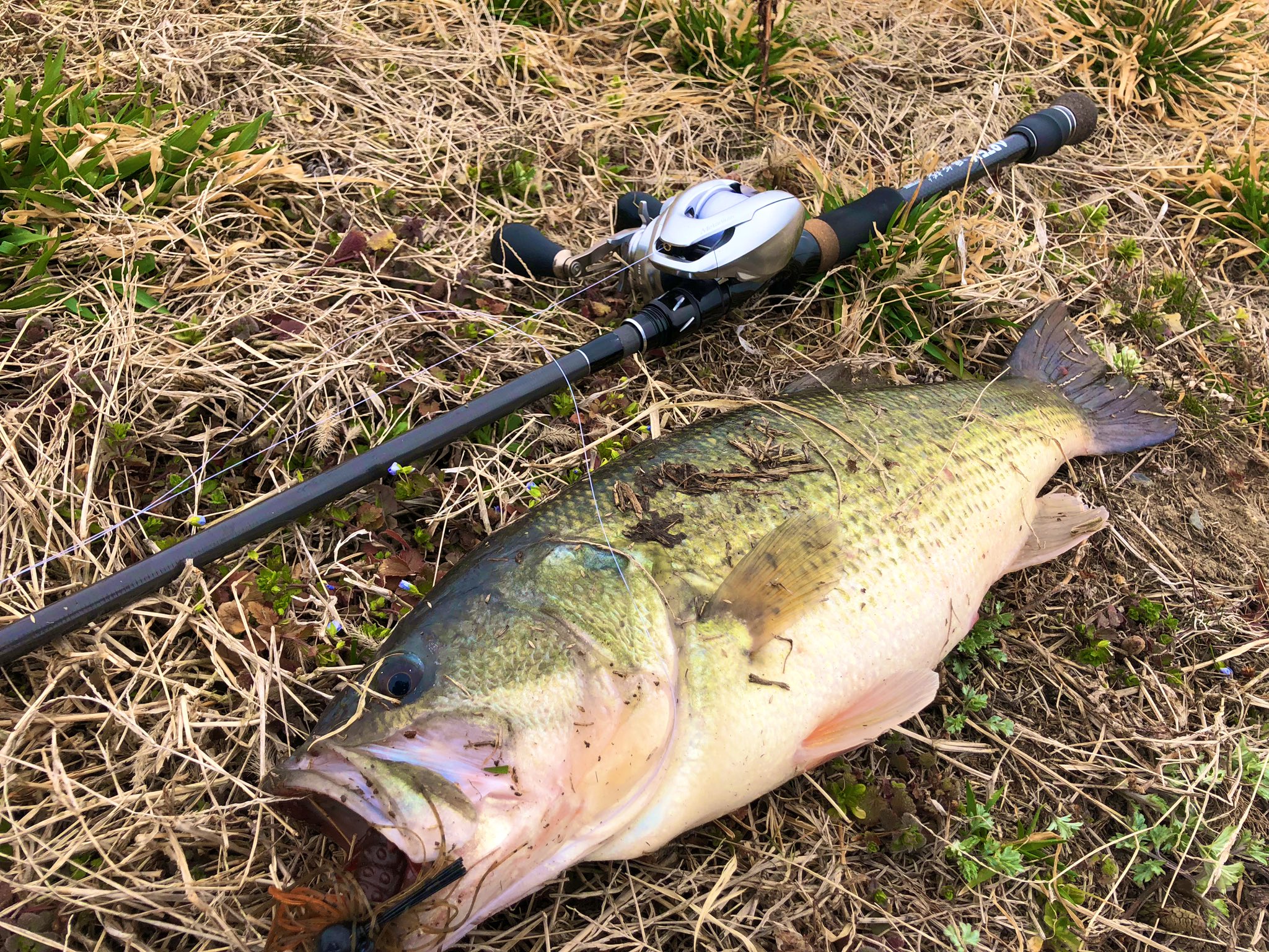 DRT ARTEX 蜃気楼 Drt こーちゃん Fishing DRT 蜃気楼