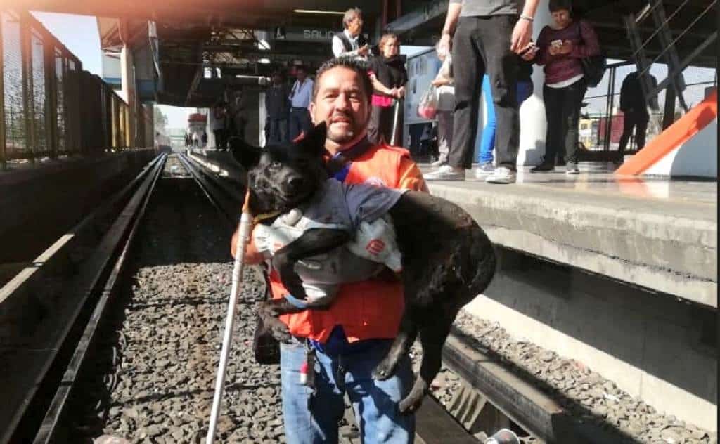 lasietedel7's tweet photo. Perro queda atrapado en las vías del Metro https://t.co/dsBJbZsfEK https://t.co/L22lzmmf54
