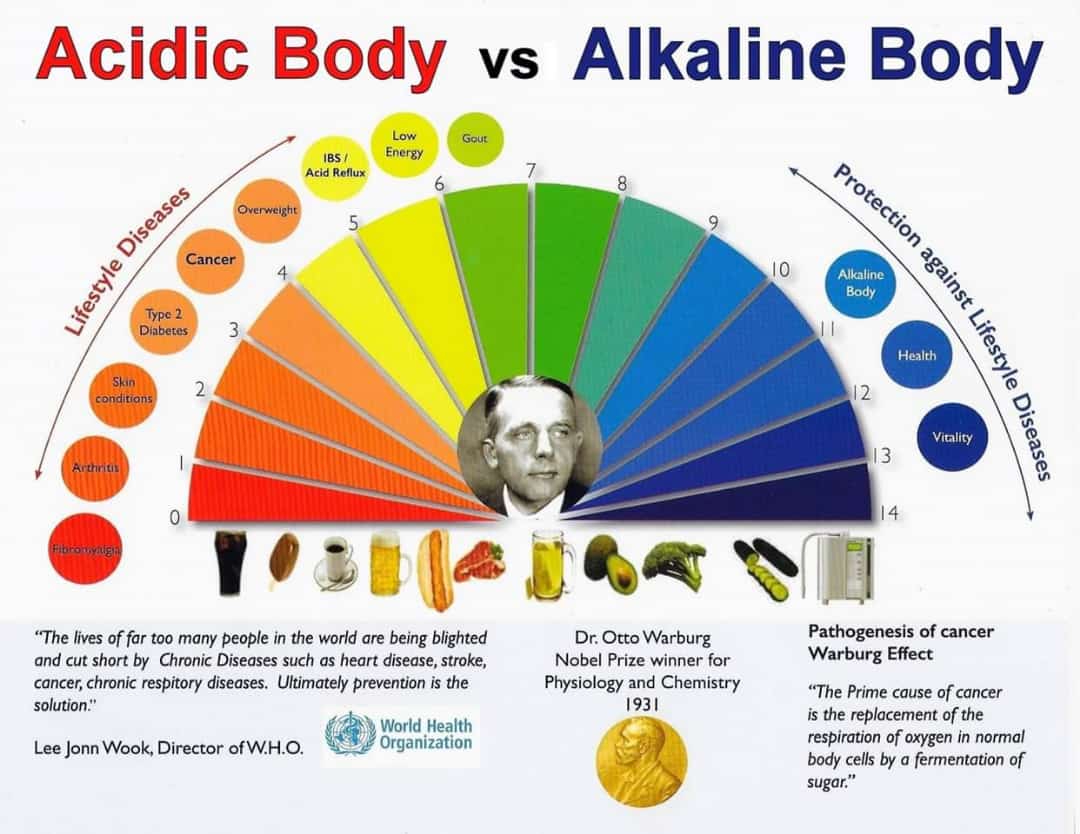 MitulkumarZ's tweet photo. alkaline water is a best https://t.co/QqVjagPvpR