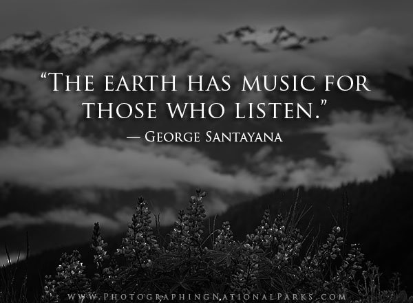 Sustain_PROMISE's tweet photo. Listen this weekend! Go outside!! https://t.co/MBBrdLAX6a