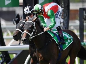 justracingcomau's tweet photo. @cwallerracing unveils 3-year-olds at Eagle Farm
https://t.co/dzpw8ET5vv

#Borazon #Tactee https://t.co/eIOytfuO4C