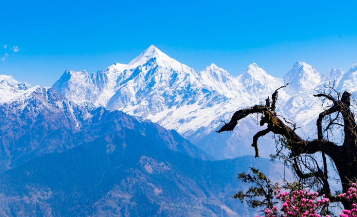 TravelODesk's tweet photo. Leave behind your #Summertime Sadness because this summer you gotta to know why #Uttarakhand must be your next #travel destination
Know about 5 Most Visited Tourist Places, you can’t afford to Miss in Uttarakhand,
https://t.co/kyC36mZX6c
#TravelOdesk #taxi #experienceddriver https://t.co/tEfFQZvk6h