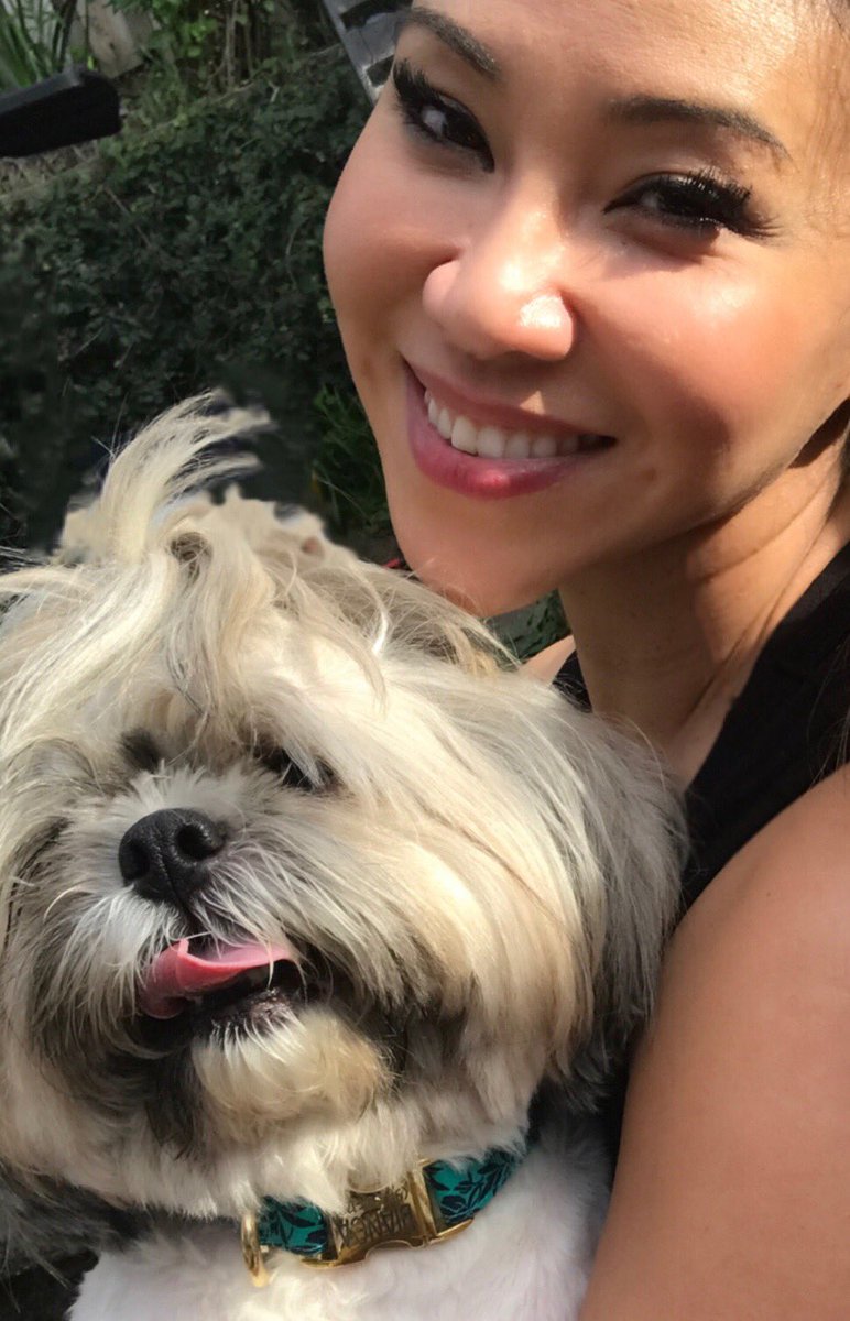 VeronicaDLCruz's tweet photo. Happy #NationalPuppyDay! 🐾 We are simulcasting one hour of your news on both ⁦@KPIXtv⁩ and ⁦@KBCWtv⁩! See you for an hour long ⁦@NightBeatTV⁩ with ⁦@KenBastidaKPIX⁩ from 10-11! Which station will you watch on??? #TGIF #pupsrule #pawesome #finallyfriyay https://t.co/0STNgTYy5A