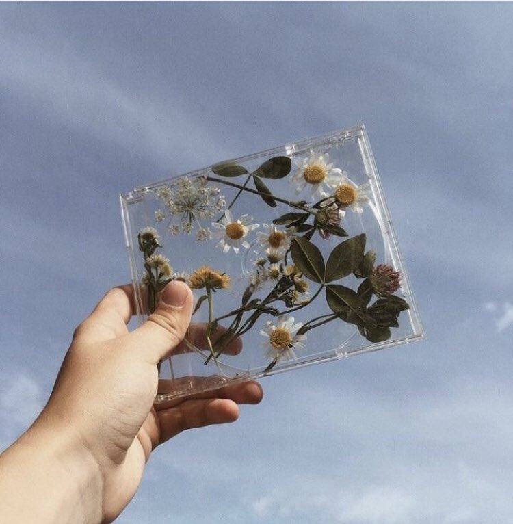 𝚁𝙾𝙼𝙴 🥀 tweet media