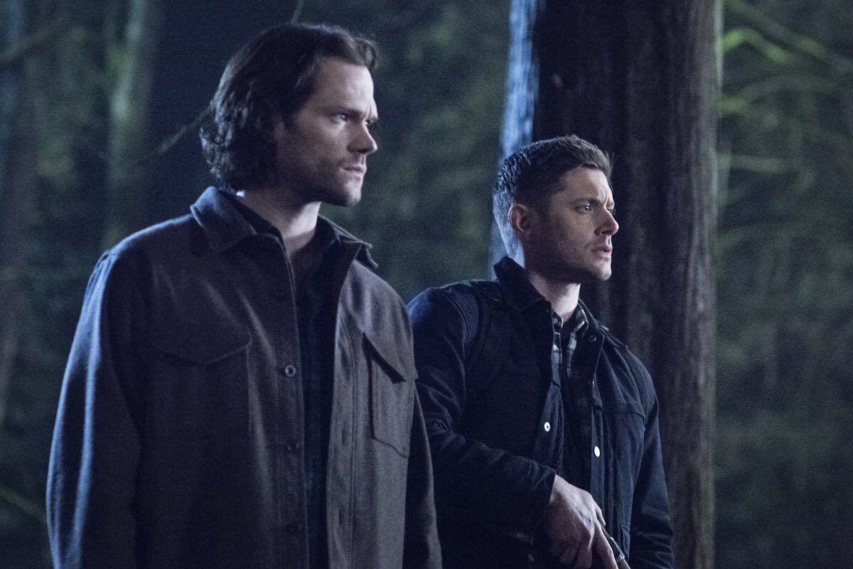 NerdsEverything's tweet photo. Season 15 will be The Final Hunt for @cw_supernatural 
Through the ups and downs, through the Darkness and The Light, through Heaven and Hell, we fans have stood with you. Thank you for everything #spnfamily https://t.co/MNMXQ5lKDd