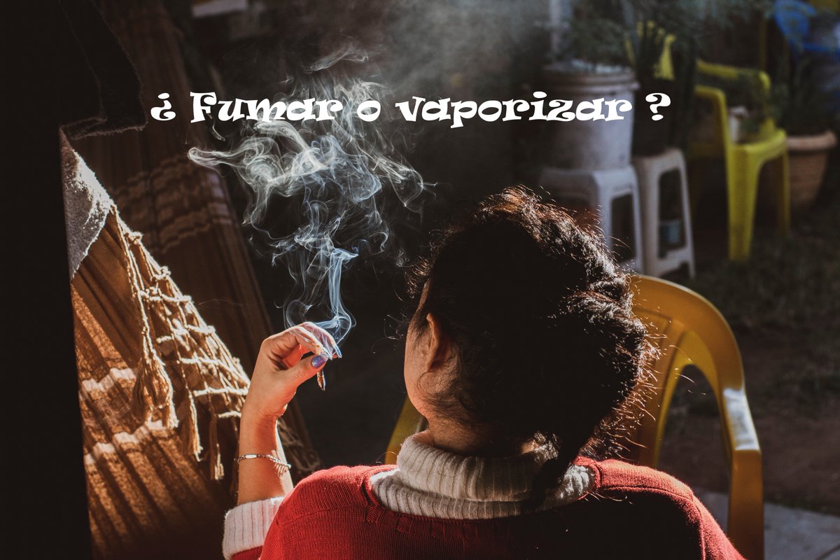 Sex_seeds's tweet photo. 🧐Fumar VS Vaporizar🧐
En Sex Seeds recomendamos vaporizar para no perder ningún cannabinoide de nuestras variedades.https://t.co/NA9Smlh6AE
#sexseeds #weedcomunity #weed #cannabiscommunity #cannabis https://t.co/WC5QOcFmLK