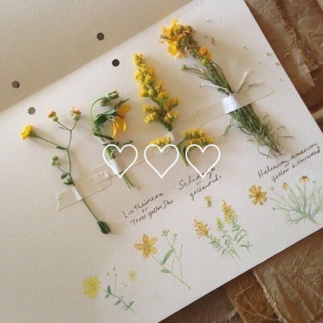 ͓˓ ╸กลิ่น ! ดาว ˈ ♥︎ 𓈒 tweet media
