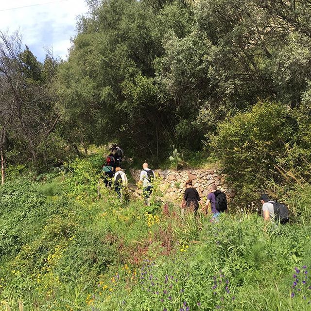 StepInSicily's tweet photo. Camminando. 👉🏻https://t.co/PlMlD6vnL5👈🏻
.
#stepinsicily #sharingsicily #sharingsicilycommunity #taormina #taorminasicily #taormina❤️ #taorminasicily❤️ #taorminagrandeamore #igerstaormina #isolabellataormina #castelmola #castelmoladisicilia #trekking #tr… https://t.co/oeUwh1ciXK https://t.co/SR2qJ9HGLv