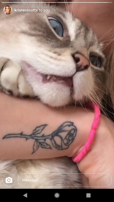 When @krisscottxxx's love for animals goes a lil too far. 🙀 https://t.co/hZPSkvizxS<a class="tags" target="_blank" title="On Twitter" href="/?out=eyJ0eXAiOiJKV1QiLCJhbGciOiJIUzUxMiJ9.eyJpYXQiOjE3MjA1NTY0NTYsImlzcyI6InR3cG9ybnN0YXJzLmNvbSIsIm5iZiI6MTcyMDU1NjQ1NiwiZXhwIjoxNzUyMDkyNDU2LCJyZWRpcmVjdF91cmwiOiJodHRwczovL3R3aXR0ZXIuY29tL2tyaXNzY290dHh4eCJ9.9kItcZZNYo-16_n11HfoRaj_Yue4NgDCfWSjcLMMtuKKlXEVw5RcQ5hwjMg30hZhyHFmQa9oR8LPkUTHj0hosg">@krisscottxxx</a><a href="/tag/savage"class="tags"><span>#savage</span></a>