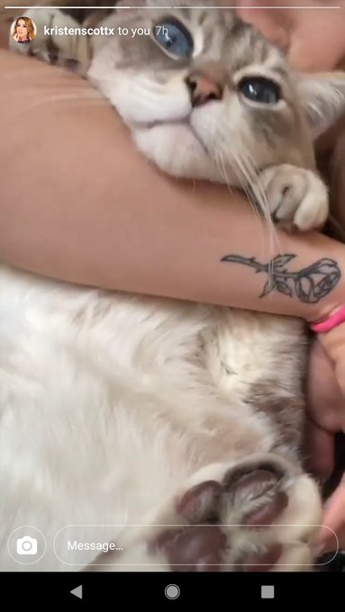 When @krisscottxxx's love for animals goes a lil too far. 🙀 https://t.co/hZPSkvizxS<a class="tags" target="_blank" title="On Twitter" href="/?out=eyJ0eXAiOiJKV1QiLCJhbGciOiJIUzUxMiJ9.eyJpYXQiOjE3MjA1NTY0NTYsImlzcyI6InR3cG9ybnN0YXJzLmNvbSIsIm5iZiI6MTcyMDU1NjQ1NiwiZXhwIjoxNzUyMDkyNDU2LCJyZWRpcmVjdF91cmwiOiJodHRwczovL3R3aXR0ZXIuY29tL2tyaXNzY290dHh4eCJ9.9kItcZZNYo-16_n11HfoRaj_Yue4NgDCfWSjcLMMtuKKlXEVw5RcQ5hwjMg30hZhyHFmQa9oR8LPkUTHj0hosg">@krisscottxxx</a><a href="/tag/savage"class="tags"><span>#savage</span></a>