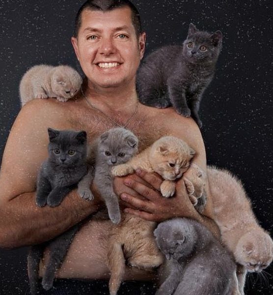 TradeShowReport's tweet image. 