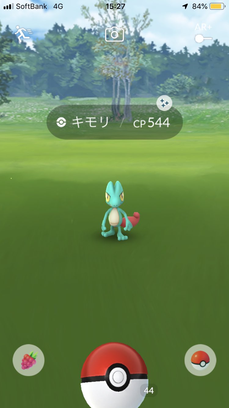 組長 ポケモンgo 今日は母とポケ活 色違いキモリget 早速ジュカインに進化させました 色違いジュカインめっちゃイケメン この後の歯医者も頑張れそうです ポケモンgo コミュニティデイ 色違いポケモン ポケモン進化 キモリ