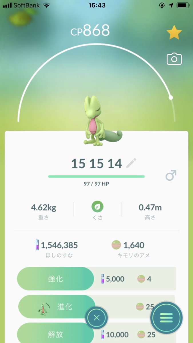 ポケモンgo 色違いキモリを3匹連続ゲット コミュニティデイ前半戦から神引き続出 ポケモンgo攻略まとめ速報 ポケモンgo 色違いキモリを3匹連続ゲット コミュニティデイ前半戦から神引き続出 ポケモンgo攻略まとめ速報