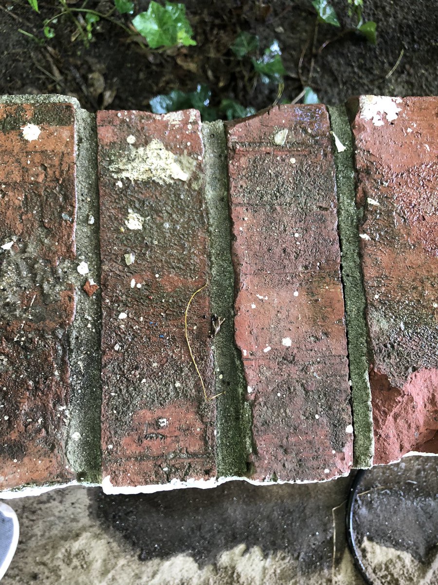 YWPRESSUREWASH1's tweet photo. #residentpressurewashing #commercial #pressure #pressurewasher #pressurewash #pressureclean #pressures #underpressure #powerwash #cleaning #softwash #powerwashing #pressureison #residential #commercial  #clean https://t.co/NcscuWg9Eg