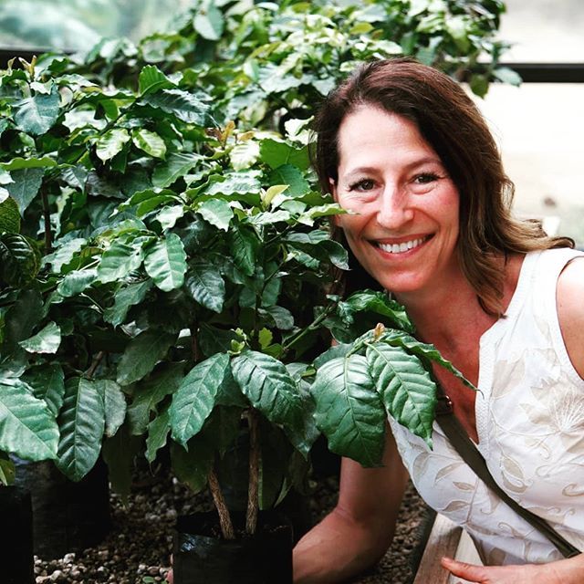 profoundcoffee's tweet photo. Teri enjoying a Geisha nursery in the Central Valley! What will a speciality coffee industry be like with even greater variety diversity?  In agriculture, crop varieties have a huge impact on the agronomy of a crop. Often, the focus is on disease or inse… https://t.co/LHzb6Y0S9h https://t.co/YNPGxiQZkM