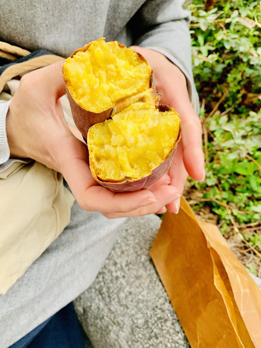 大阪スケジュール 石焼き芋カー 金時 かっこええええ アートユニットyotta ヨタ による本格石焼き芋販売車ぁぁ サツマイモは最高級の徳島県里浦産鳴門金時 里むすめを使用 おいしー シールもくれました 笑 23 土 24 日 東急ハンズ心斎橋1 大阪スケジュール 石焼き芋カー 金時 かっこええええ アートユニットyotta ヨタ による本格石焼き芋販売車ぁぁ サツマイモは最高級の徳島県里浦産鳴門金時 里むすめを使用 おいしー シールもくれました 笑 23 土 24 日 東急ハンズ心斎橋1