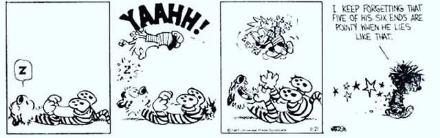 Calvinn_Hobbes's tweet photo. Wake up it’s Saturday! https://t.co/svaVagi1u0