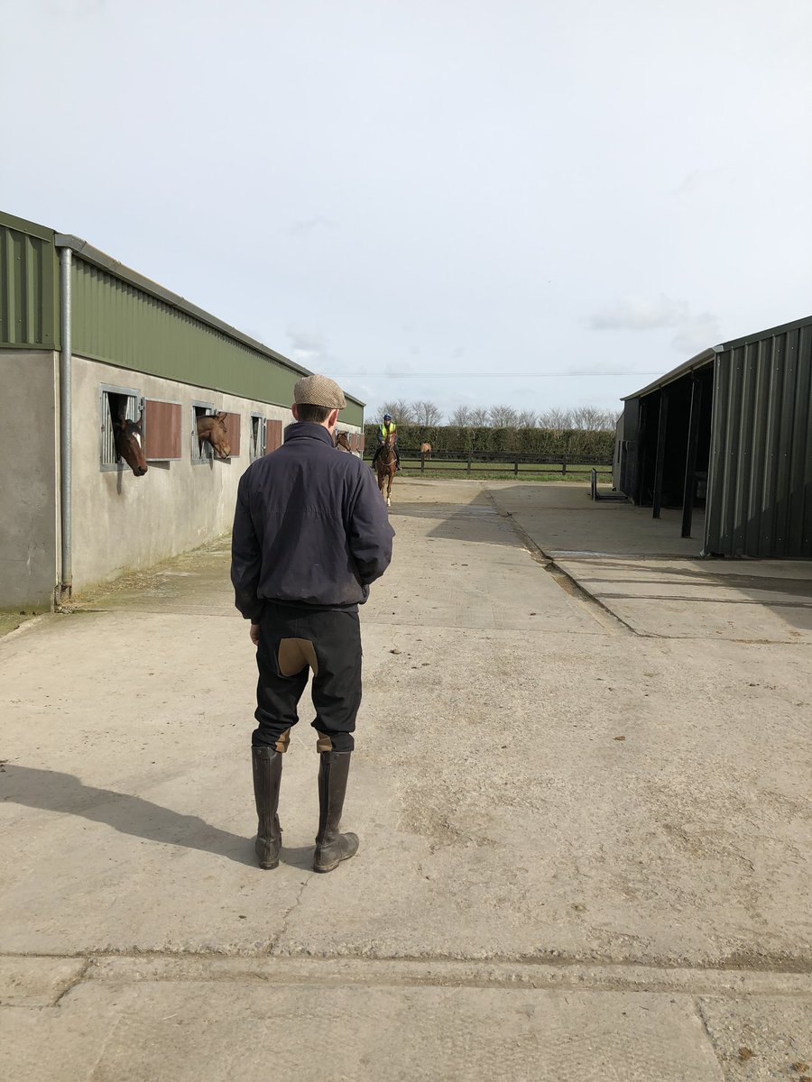 Fabulous morning for horses galloping on the @curraghrace and to spend it with the @mrpharty stable. #TheFlatIsBack