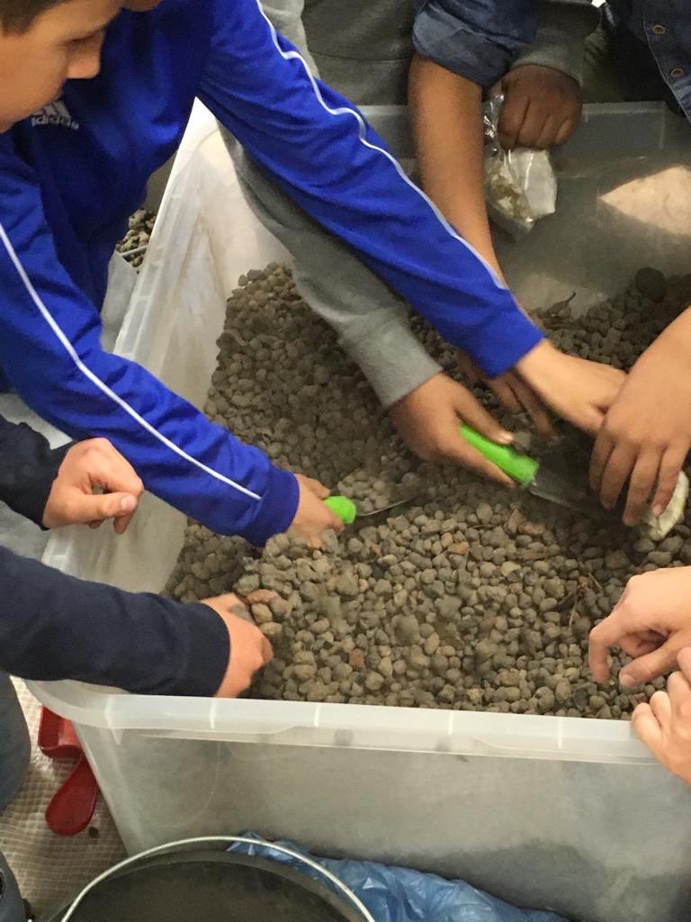 SettScienza's tweet photo. Partite anche quest’anno Le Settimane a Scuola! Grazie a @CentroScienza @Infini_to @CSP_live @regionepiemonte @CittaMetroTO e tanti altri! #didattica #scuola #stem #tinkering #Sett19 https://t.co/IY8zbQLLCo