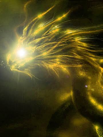 ジェイン 金の龍が 黒いやまにいて 龍の為にわたしが 金の杭をいっぱい作り 龍は 進入しようとする人間に炎を吐いて金に変える夢を見た 畏敬の重いの感情でした いい暗示だよね 金色の龍の夢 T Co 70a8fvlhde Twitter