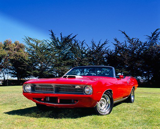 _JRWitt's tweet photo. @AnKarpo #RedonFriday TY π« πΉβ€οΈ
#MoparThing π π https://t.co/4YM8HBAxBF