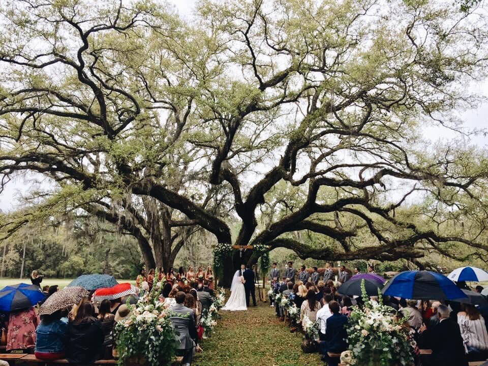beccagilbert's tweet photo. This is how it’s done in the South! @TDOnline @TallahasseeMag @Southern_Living #shilohfarms https://t.co/EiCrzt2Cof