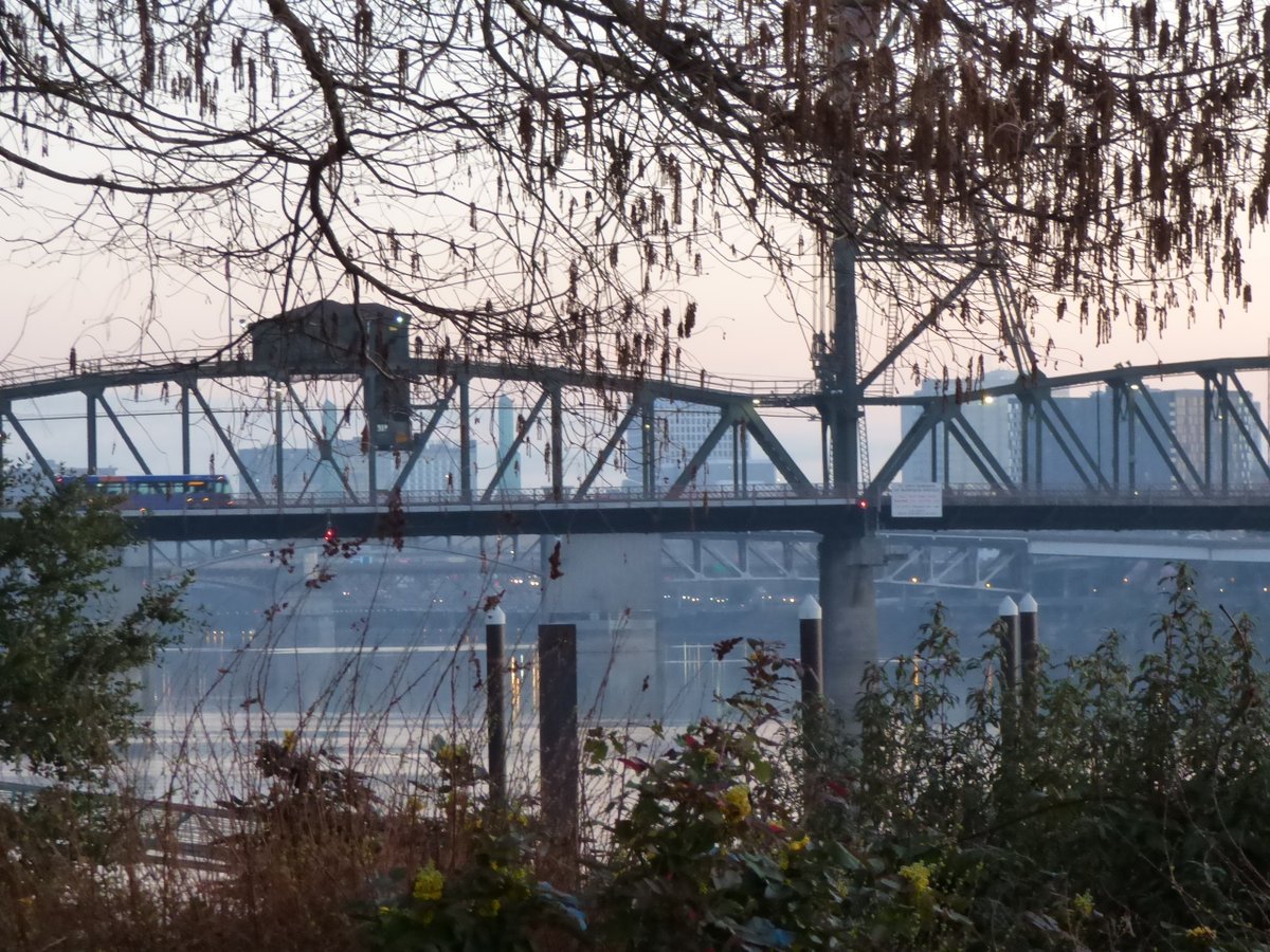 TravelerWeekend's tweet image. 22-March Daybreak on the #River walk #Portland

#StreetPhotographer #DayTrippingPortland #Oregon @DayTrippingPort
#Travel daytrippingportland.com #PDX via @DayTrippingPort