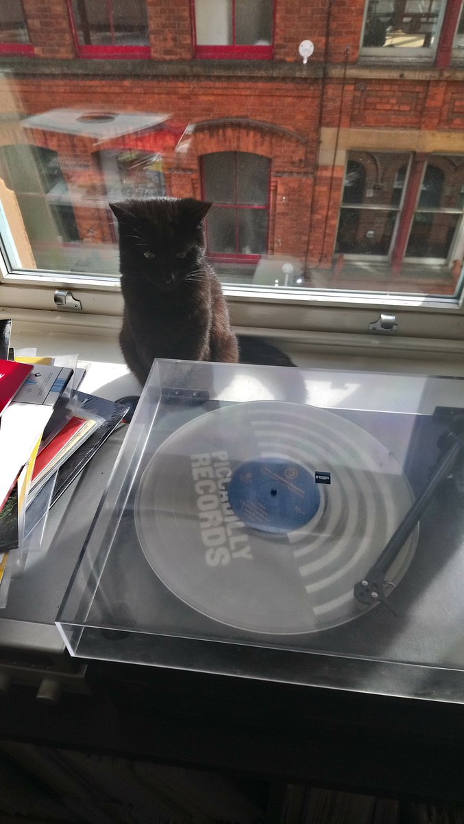 mattralph7's tweet photo. The cat is digging BJM @antonnewcombe https://t.co/U9RtmwaC1x