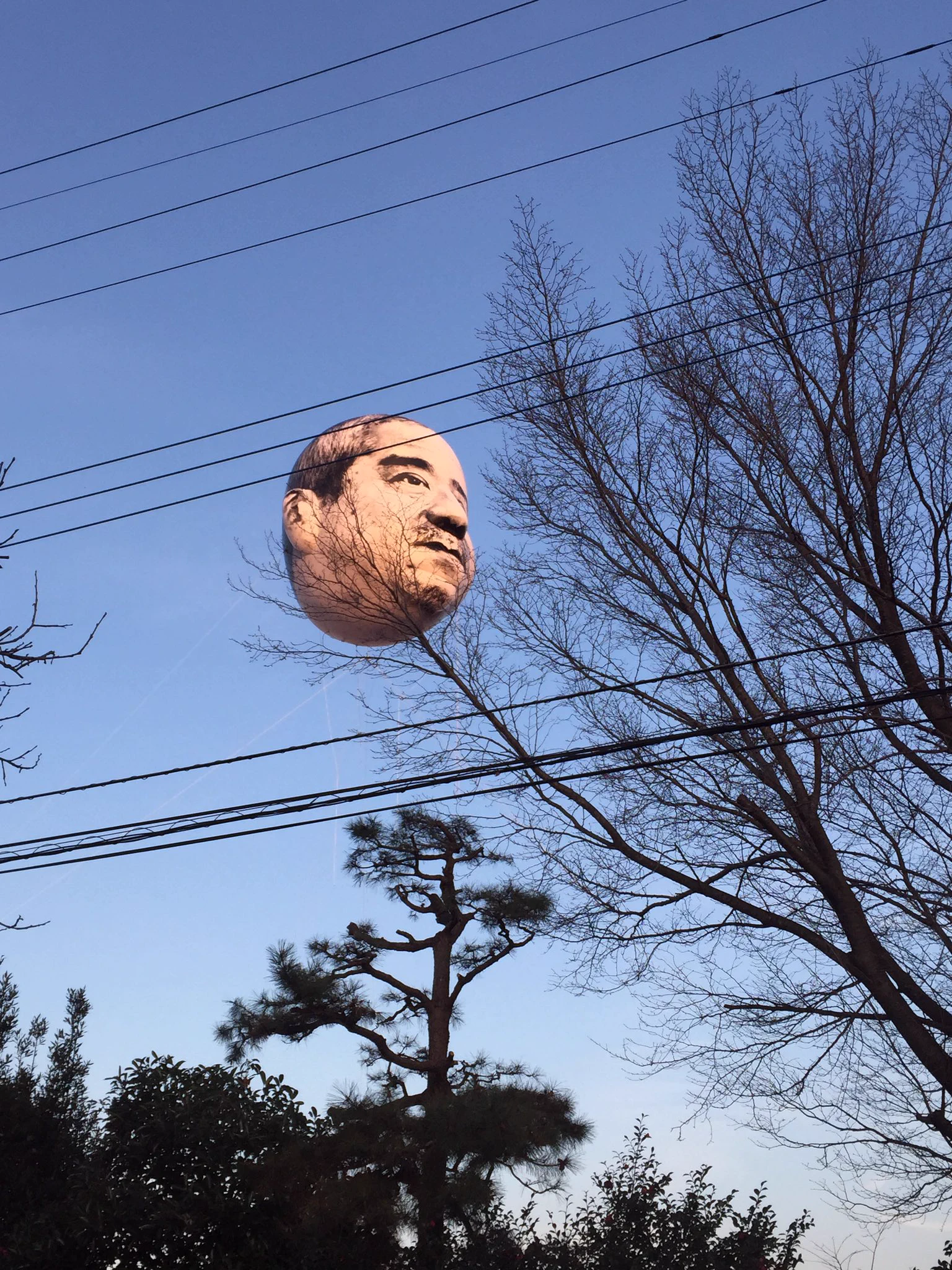 宇都宮の空にwwwおじさんの顔を浮かべるブロジェクトwww