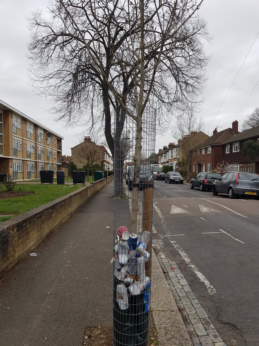 amy_morrice's tweet photo. @wfcouncil how woukd you like to be caged up surrounded by litter? All the trees on Tyndall rd having a pretty rubbish time (pun intended) https://t.co/tvh8GwbDv8