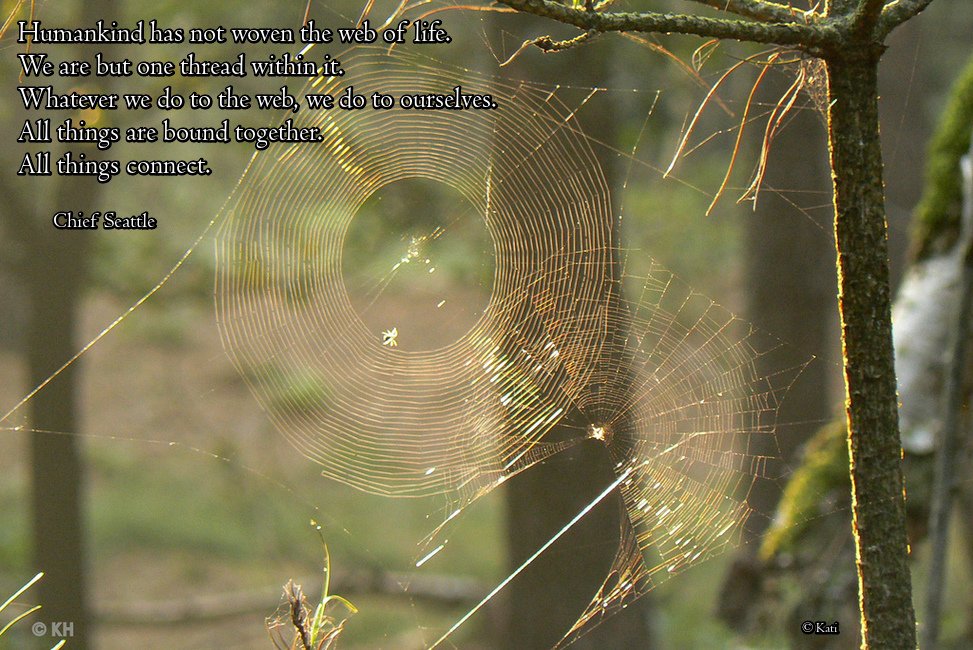 Keet67's tweet image. Humankind has not woven the web of life. We are but one thread within it. Whatever we do to the web, we do to ourselves. All things are bound together. All things connect. #ChiefSeattle #quote