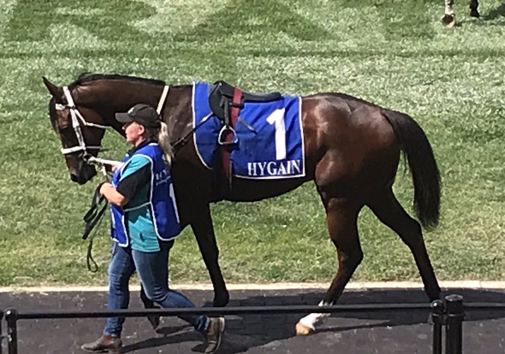 brisbanemeadow's tweet photo. #FeelTheKnight wins again making it 2 for 2! Class 2 @atc_races @Twinstarracing1 #KnightExemplar https://t.co/RwgUwWv2am
