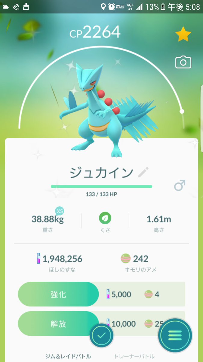 Bmmb Rnキングポン酢 色違いキモリ 2体ゲット 1体は残して もう1体をジュカインに ポケモンgo キモリ 色違い コミニティーデイ Bmmb Rnキングポン酢 色違いキモリ 2体ゲット 1体は残して もう1体をジュカインに ポケモンgo キモリ 色違い コミニティーデイ