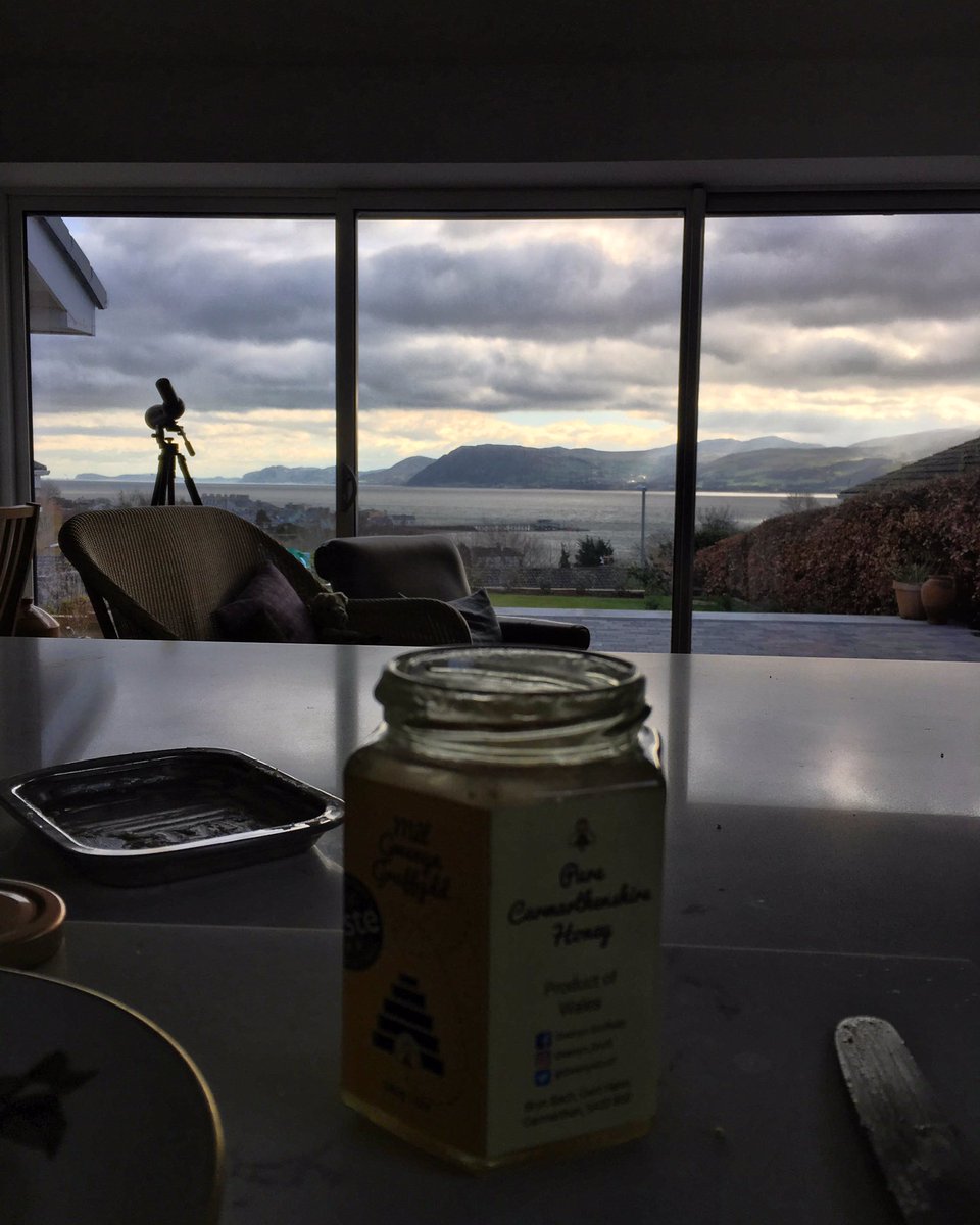 GwenynGruffydd's tweet photo. The best way to wake up...........
.
Tag @GwenynGruff with your honey pictures to feature on the page 🐝🐝.
.
#honey #honeyontoast #honeyforbreakfast #welshhoney #mêl #mêlcymraeg #gwenyngruff #gwenyngruffydd #welshbees #goodmorning https://t.co/f4chKccOVa