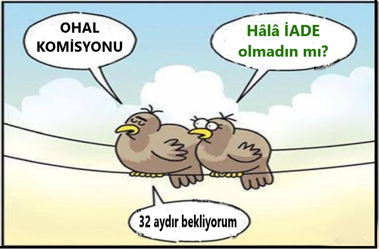 SalihS42's tweet photo. OHAL KOMİSYONU
32 AY GEÇTİ
✍️TAKİPSİZLİK/BERAAT alan
✍️ADLİSİ olmayan
✍️HUKUKSUZ İHRAÇ edilen KHKlı Neden İADE edilmiyor?
#cumartesi
#GeceyeNotlarBırakalım
#AbidinDino
#SaidNursi
#ept19
Bakan Selçuk
Hapisteki HDP'li
Günaydınlar
Vefanın 59
@abdulhamitgul @mentes70 @TanrikuluSalih https://t.co/VUMizborm0