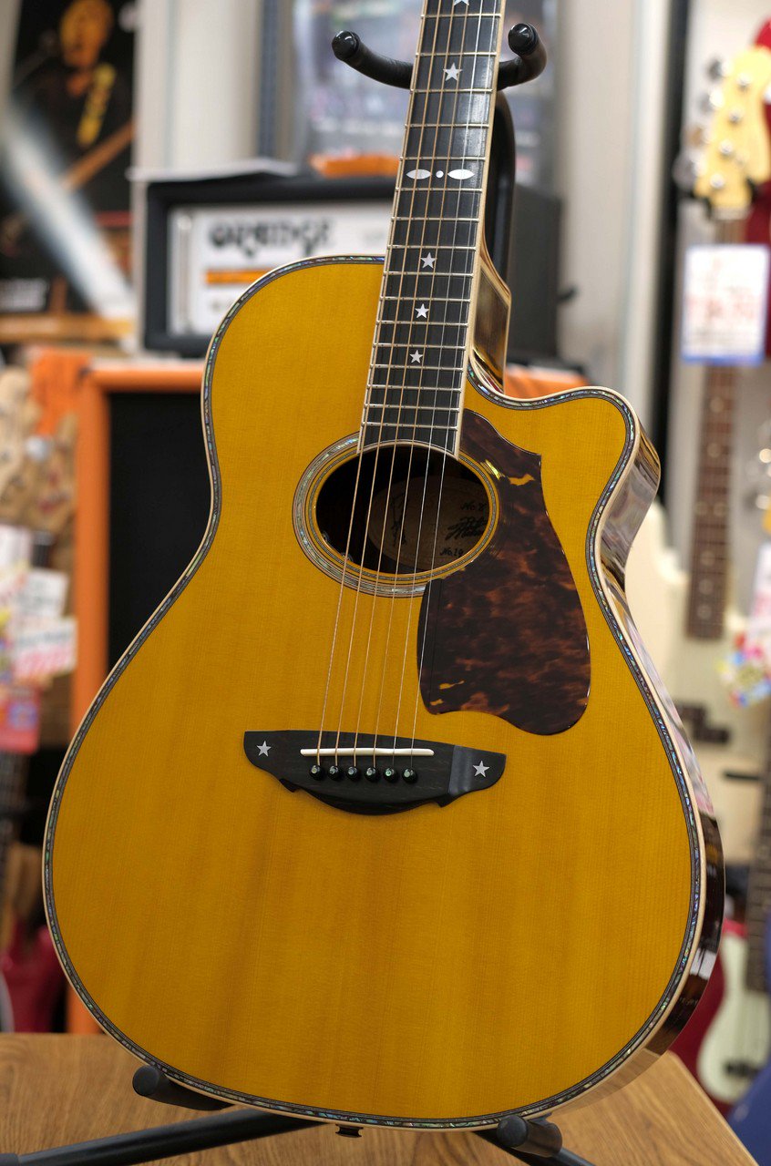 アコースティックギター　Tama tp265-0497602_m.jpg