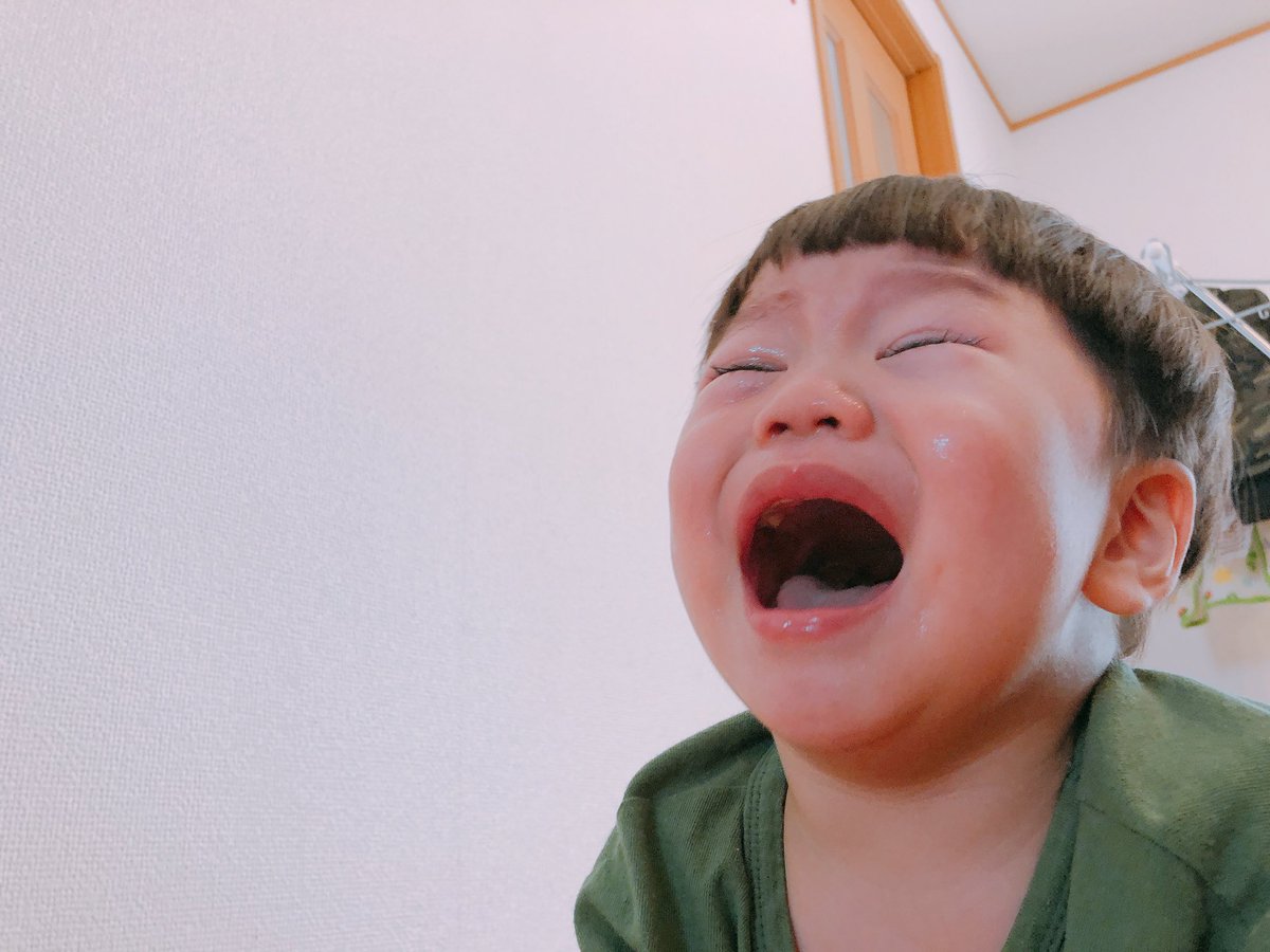 midupichi's tweet photo. @Nyanwaka0503 元気バクハツよ😂2歳になってしもたよ😂💗 https://t.co/3HXc80ZcvO