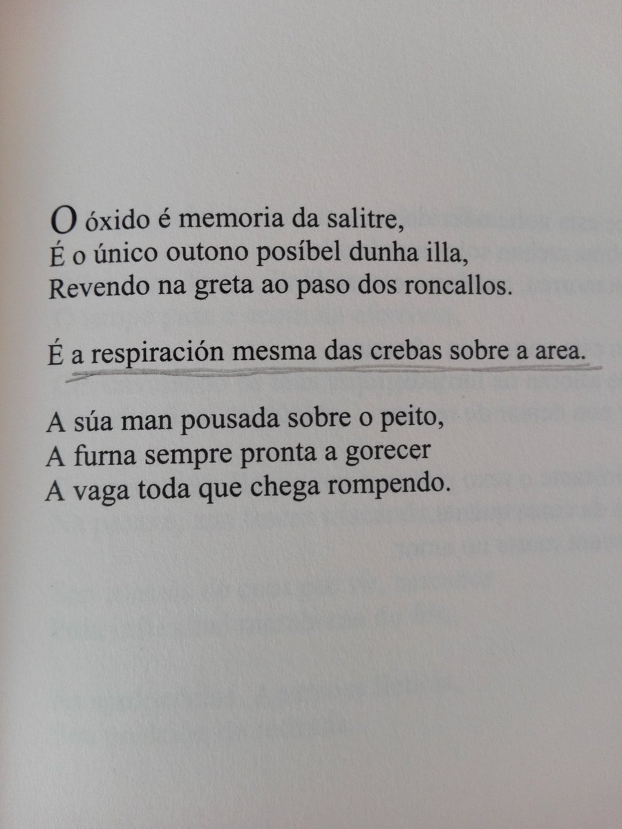 A estación única dunha illa, Ramón Neto